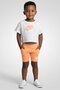 Toddlers Boy 2 Pcs Graphic Print T-Shirt And Shorts Set, Multicolor