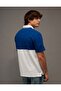 قميص بولو بتصميم جرافيك من AE Standard Fit - 2