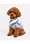 Navy Blue Striped Short Sleeve Summer Dog T-Shirt Dog Apparel - 4