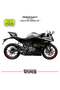 CFMOTO 250SR Grenage ملصق مجموعة اليمين اليسار نموذج ملصق ملصق عالي الجودة