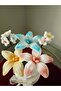 ورد bloom and bow - 3