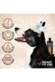 Argan Oil Conditioner[Volume - 450 Ml] - 3