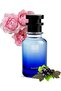 Oil Based Perfume for Women – See Fyooree Georgio Armanie Inspired Floral Chypre with Vanilla, Rose & Black Currant – Alcohol-Free – 8 Hr Longevity for Feminine Elegance (30 ML)