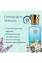 Oil Based Perfume for Women – Long Lasting Coco Mademoelle Intense Inspired Amber Woody Scent with Orange, Rose & Vanilla – Alcohol-Free Feminine Fragrance (30 ML) - 6