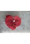 Women's Red Orchid Latch Buckle |   Large Size Hair Clip with Pearl Accessories - 4