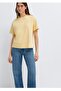تي شيرت قطني 100% بقصة عادية مع طباعة الشعار - 2