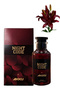 4 قطع من عطر نايت كود 100 مل - 3