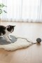 Pet Handmade Cat Scratching Mat with Toys, 100% Cotton Rope, Black-White - 4