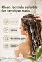 Anti Dandruff Shampoo (Dandruff Hair) + Scalp Lotion - 6