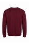 Bordo Oversize/Geniş Kesim Uzun Kol Hayvan Nakışlı Sweatshirt TMNAW24SW00169 - 6