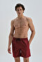 Burgundy Micro Medium Plain Swim Shorts - 2