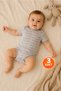 Gray Suprem Roar Printed Unisex Cotton Short Sleeve Snap Fastener Baby Bodysuit Set of 3