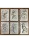 16 Pieces, Plaster Mold, Ceramic Mold, 8 Different Models, Business Education, Crafts - 4