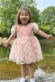 Baby Girl Dress Girls' Dress Birthday Party Wedding Dress Lace Short Sleeve Lined Dress - 4