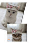 Cat Dog Hat Size m