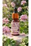 Geranium (Geranium) Essential Oil 10 ml / 100% Pure and Natural / Geranium Oil - 2