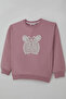 Girl's Sweatshirt with Butterfly Appliqué and Embroidery, Ages 8-12, Dried Rose - 5