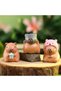 Cartoon Capybara Blind Box Simulation Mini Capybara Action Figures Doll Car Desk Decoration Child... - 4