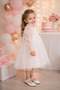 Baby Girl Dress Long Sleeve Tulle Tutu Starry Birthday Special Day Party Wedding Girl Kids Dress - 2