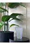 Imported Glass Vase - 2