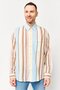Men Relaxed Fit Striped Long Sleeve Dress Shirt, Multicolor