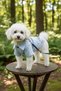 Cat - Dog 100% Cotton Poplin Summer Shirt - Undershirt - Dress - Outfit - 7