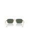 Rb3928-001/71-54 20 145 Frame Color: Arista Gold Glass Color: Dark Green Organic - 6