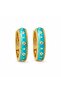 Special Series Enamel Hoop Earrings