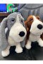 Cute Dog with Long Ears - 4