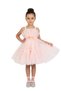 - Peach Tulle Tutu Party Dress with Floral Waist Detail - Pink - 1Y to 10Y