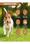 Dog Chewing Y-Shape Bone Toy – Durable Flavored Nylon Chew Toy for Aggressive Chewers, Safe & Non-Toxic - 2