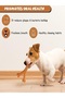 Dog Chewing Y-Shape Bone Toy – Durable Flavored Nylon Chew Toy for Aggressive Chewers, Safe & Non-Toxic - 5
