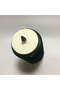 A6 C7 Rear Right Air Spring - 4
