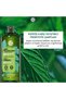 Soothing Prebiotic Shampoo-Anti Dandruff/Anti Pelliculaire-Free of Sls, Sles, Salt-Free, Vegan - 2