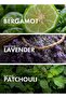 LAVENDERY PATCHOULI - Inspired-SERPENTINE, Perfume For Women - EDP 50ml, Chypre Men's Fragrance - 3