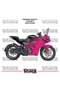 ملصق تزييني لـ Bajaj RS200، طقم جاهز لتزيين المحرك بلونين، جودة عالية