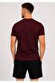 Men's Plum Cotton Lycra Single Jersey Short-Sleeved T-Shirt-D230 - 3