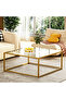 FFD Modern Square Glass Coffee Table - Tempered Glass Top Metal Frame No Assembly Gold/Black