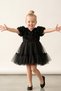 Girl's Princess Dress with Buckle, 3D Roses, Layered Tulle, Bow Detail, Birthday Party Wedding Special Occasion Dress, Ages 2-5 - 2