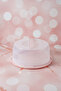 24 cm Cake Carrying and Storage Container |   Cake Pan with Lid |   Transparent Cake Pan |   Cake, Cookie, and Dessert Storage Container - 4