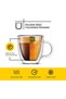 Savor Double Wall Insulated glasses Espresso Mugs Set of 2, 5.4-Ounces - 3