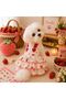 Cat and Small Breed Dog Dress, Cat Dog Outfit