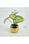 Artificial Taro Plant In Ceramic Pot H19cm - Green - 3