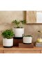 Laura Terracotta Planter With Stand 14x14x12cm - White - 3