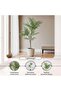 Artificial Jacaranda Tree H120cm - Green - 5