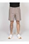 Men's Regular Fit Pleated Cotton Brown Shorts & Bermuda Shorts