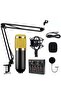 Professional BM800 Condenser Microphone Kit for PC Studio Karaoke Recording