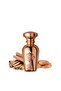 ROZY - Perfume For Men | Premium Metallic Collection | Eau De Parfum - 75ml