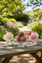 Destina Ice Cream and Dessert Bowl Set of 3 285 ml - 4