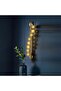 Kiara Wall Bracket Metal+Glass D80X18Xh12 G9 Antique Brass